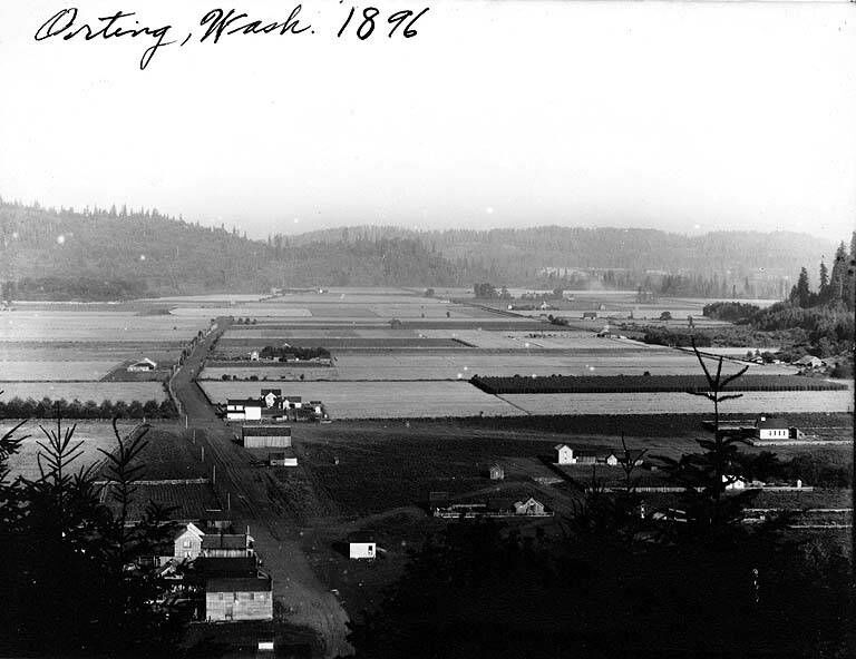 Black and white view over Orting in 1896