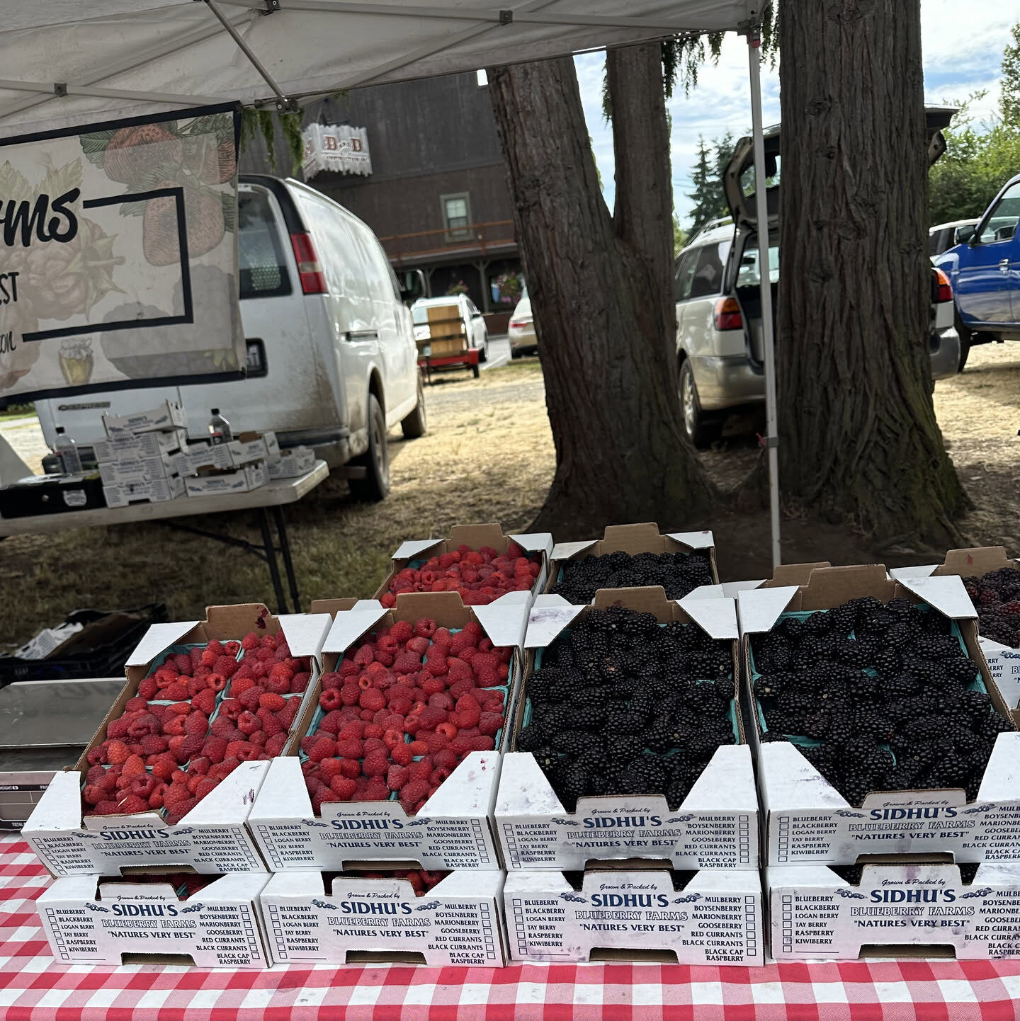 Flats of raspberries and blackberries at the farmers market