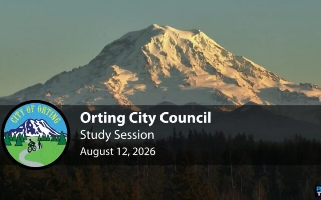 Council approves $826K police grant; moves domestic violence bill to August 26