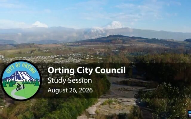 Council approves domestic violence ordinance, SRO contract renewal