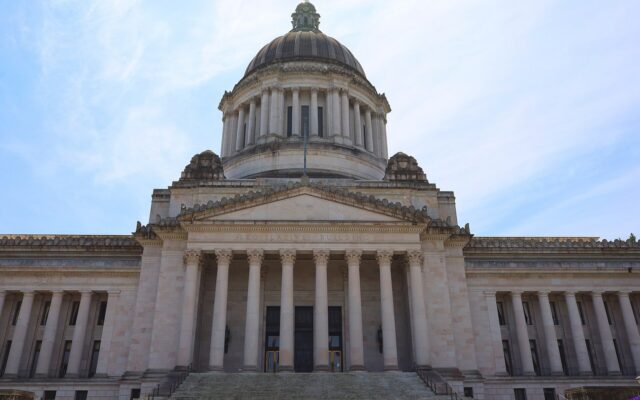 Primary recap: who advanced to November in Orting-area races