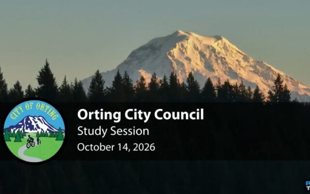 Council approves $292,730 stormwater telemetry contract; discusses budget concerns