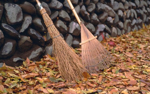 Fall Clean Up Dates!